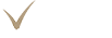 WIBA Ukraine